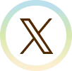 X icon